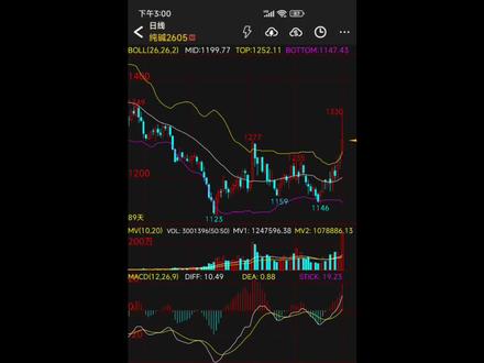 纯碱2605合约日线图