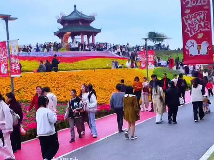 无门票新景区公园花海 过年亲子游好去处 #过年#旅行#请到广东过大年 @广东文旅 #潮汕#人山人海太热闹了