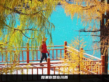 甲依拉措,只有视频才能展示它的美,但是我也没能拍出来,将就看看吧~#川西自驾 #甲依拉措 #川西旅游攻略