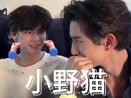 孙政喜欢驯服小野猫 野的,有个性,桀骜不驯的,说谁,懂得都懂#全世界安利 #吕思瞳 #直播录屏分享