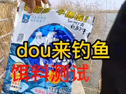 #饵料 #钓鱼 #钓鱼人 饵料测试,户外野钓,第6次测试