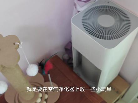 旧空气净化器几块钱改造成宠物空气净化器