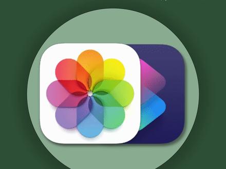 iPhone相册的隐藏功能!你真的会用吗?#ios技能 #iPhone相册 #抠图