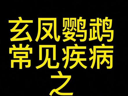 玄凤鹦鹉常见疾病:尾脂脂炎的症状与治疗方法#鹦鹉饲养知识 #鹦鹉疾病 #鹦鹉生病了怎么办 #爱宠物爱生活 #玄凤鹦鹉