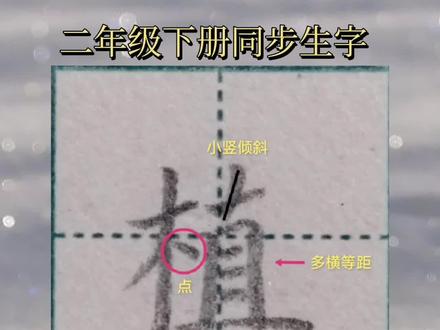二年级下册同步生字:植 #二年级 #生字 #植