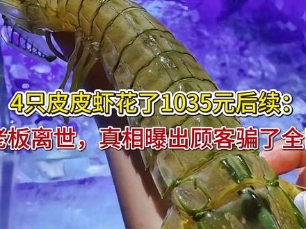 4只皮皮虾花了1035元后续:店老板离世,真相曝出,顾客骗了