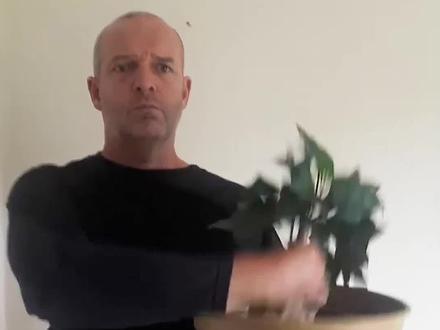 这个看似神奇的曼德拉草,它在现实生活中是真实存在的