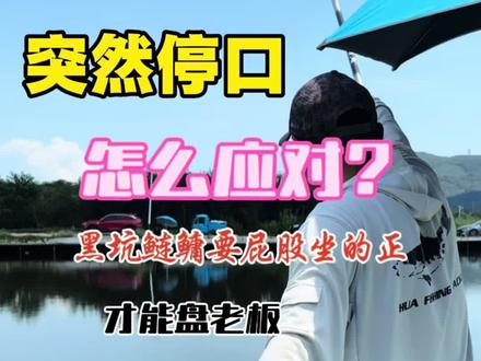 黑坑鲢鳙走水严重应该怎么钓?#钓鱼人真实反馈 #原来钓鱼才是抖音运动顶流 #民间艺人攻鲢手浮漂 #钓定层用攻鲢手#猛攻淦將黑坑版