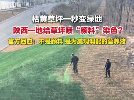 12月11日,陕西咸阳,#官方辟谣喷颜料染绿草坪:是为美观调配的营养液。