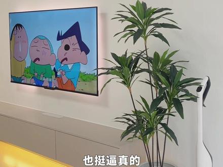 植物杀手必看!懒人绿植推荐!软装大招! 懒人绿植,资深植物杀手挖到了不少无需打理的。 #家居植物小展 #抖音宝藏生活家 #家居绿植 #耐阴植物 #绿植