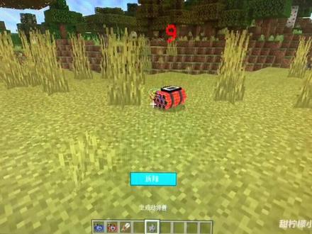 模组名:定时炸弹的安装与拆除