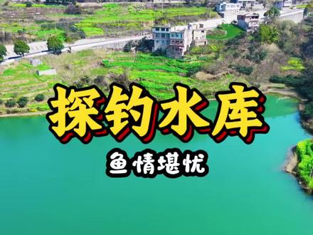 探钓金鸡山水库#喜马罗夜光漂#沃鼎王者神剑四代#沃鼎产品体验官#原来钓鱼才是抖音运动顶流