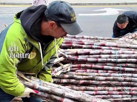 中国男子在美国纽约街头卖甘蔗,8美元一根,削皮加1美元#甘蔗