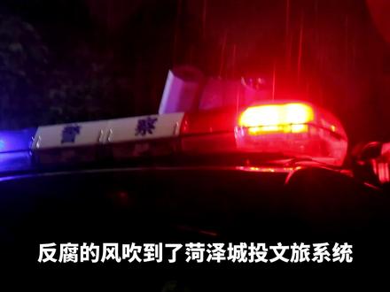 成武城投文化旅游有限公司常务副经理宋述根的腐败之路#问政山东 #山东 #菏泽 #大案纪实