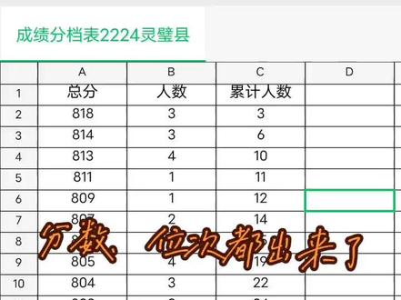 2023年中考一分一档表,分数 位次都出来,几家欢喜 几家愁#一分一档表 #数据可视化 #2023年中考 #家长必读