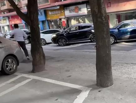 树根被水泥封住无法“呼吸”,市民:希望园林部门及时“解救”