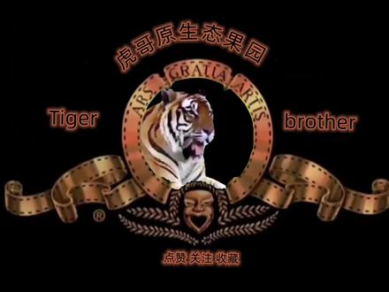 完美世界经典版黄三新手教程--仓力#怀旧游戏 #经典游戏 #完美世界 #完美世界经典版 #完美世界黄三