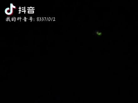 #晚睡的小朋友 长这么大第一次在现实生活中遇到萤火虫,在这之前都是在电视剧里看到的嘞,好开心
