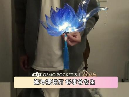 拜托!谁能拒绝在新年那天收到一朵这么美的悬浮花呢~#花灯 #手搓 #绝美 #新年 #diy