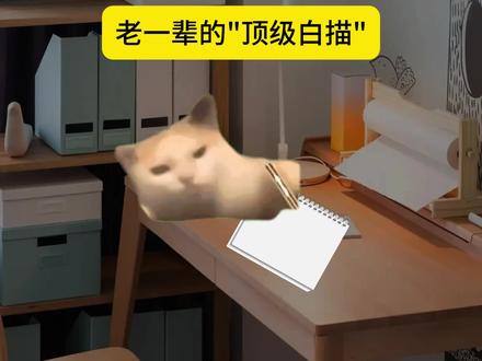 老一辈的“顶级白描”#文学 #白描 #人物故事