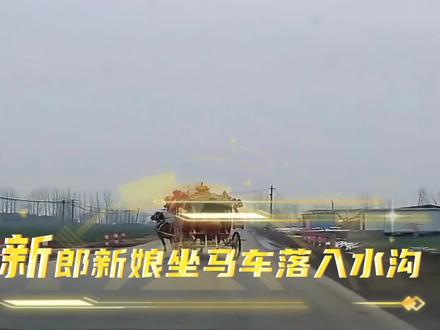 新娘新郎乘马车迎亲,鸣笛惊马,马车上新郎新娘随马车翻落水沟:#河南dou知道 #周囗 @南召发布