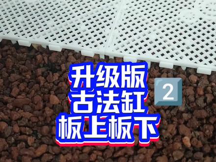 底滤板放火山石底砂上面还是下面?升级版古法龟缸隔离板使用方法 火山石古法养龟底滤板的正确使用方法视频教程,无过滤古法养龟,底滤板铺在火山石颗粒底砂上面还是下面好?升级版火山石古法生态缸底滤板使用方法教程。古法缸加底滤板有什么作用?底滤板放在上面还是底下?火山石古法生态缸养龟,底滤板使用说明。古法缸用底滤板有用吗?方便抽底清理脏东西、利于营造白色养龟发色环境、避免火山石颗粒磨损乌龟腹甲,火山石古法龟缸底滤板铺设方法技巧和注意事项视频教学。鸫龟先生古法养龟视频教程,火山石生态缸底滤板隔离板正确使用方法和注意事项视频教学,新手养龟指南之底滤板使用篇。#古法养鱼 #古法养龟 #火山石生态缸 #底滤板 #鸫龟先生