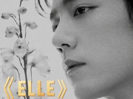 肖战ELLE杂志2026开年刊 “OG封面”是什么意思?“四季”主题寓意:新年伊始,四季予你!#肖战 #elle #红绿小磕糖