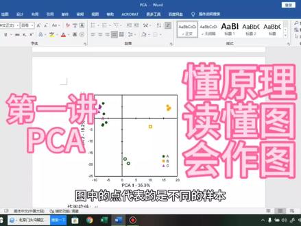 主打的就是一个详细,我不管#PCA #主成分分析 无论你有多小白,必须都得会!#科研绘图 #研究生日常