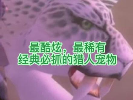 魔兽世界最酷炫,最稀有,经典必抓的猎人宠物-幽灵豹-持续更新中#游戏精彩时刻 #魔兽世界 #特效 #一起玩游戏 #新手必看 #游戏日常 #怀旧游戏 #wow #嗜血 #实用 #经典游戏 #魔兽青春 #暴雪 #稀有 #攻略 #视觉震撼 #透明 #伪灵魂兽 #三系可抓 #豹 #猎豹雕像 #掉落宠物