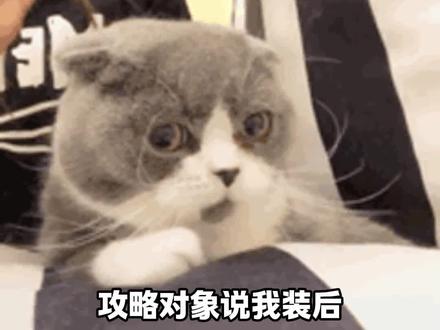 攻略失败我当场放弃营业 #祁止 #转学风波 #bot #猫箱