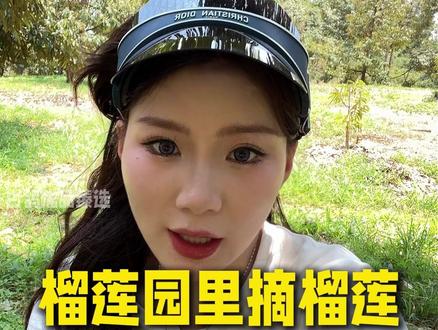 榴莲园里摘榴莲 老爸不见了!#张白鸽 #父女 #泰国 #雅丽洁防晒 @张白鸽🕊️