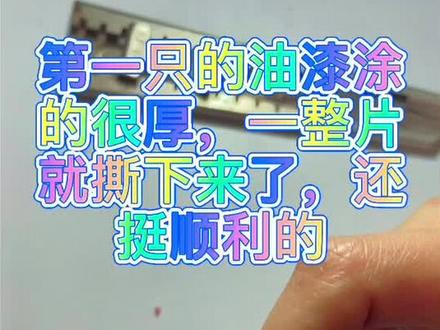 同事小姐姐不了解乌龟,买了两只油漆龟,答应帮她去除油漆,#get新技能#养龟日常