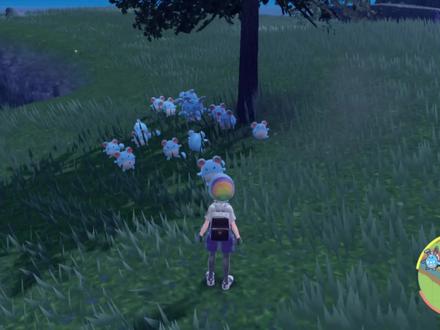 PVE第一梯位的玛力露丽闪光捕捉点
结尾附秘料和地点
#宝可梦朱紫 #switch游戏 #精灵宝可梦 #闪光宝可梦