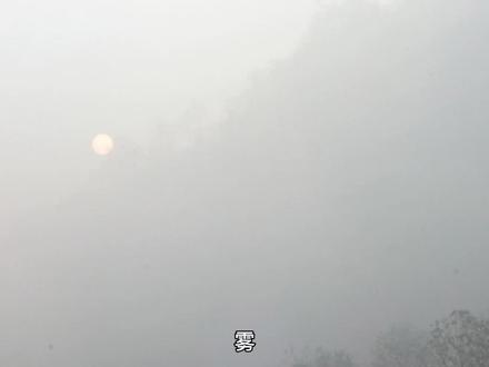 优秀作文《雾》
父母伴读孩子的好帮手