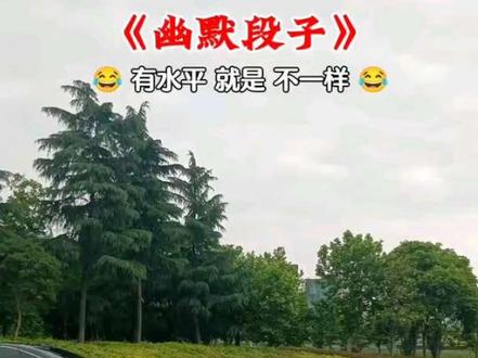 有水平就是不一样#幽默段子