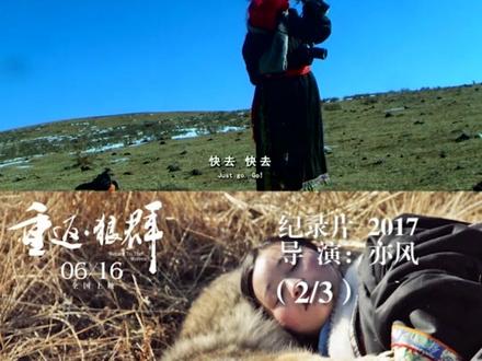 #重返狼群 狗不怕人没事,狼不怕人就s定了 #纪录片 #纪录电影