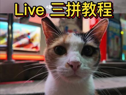 大疆Pocket4新手必看 | Live三拼 大疆Pocket4三拼lvie图还有谁不会!
研究了小半天的实况live的三拼图
和pocket3有些区别
今天教大家怎么操作 很简单~
📷Live三拼步骤
1️⃣打开DJI MIMO连接pocket4
2️⃣进入 相册-设备 点击想要生成的live添加水印并下载
3️⃣进入 相册-本地 点击下载好的图片
4️⃣点击正下方的lve拼图
5️⃣选择三张你想拼在一起的Live图
你学会了么?
评论区展示!
#大疆pocket4 #p图 #live
#livephoto #pocket4
@DOU+小助手 @抖音小助手 @抖音媒体内容优推官
