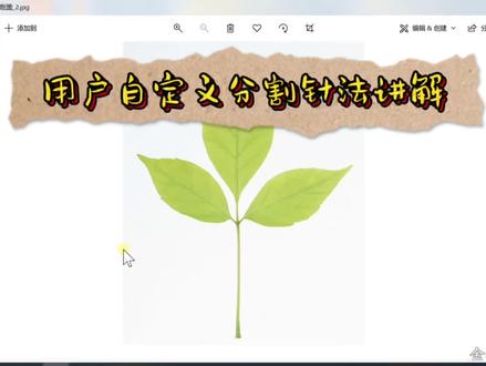 威尔克姆e4.2软件,用户自定义分割针迹制版讲解和整形分析,平包针和榻榻米等都可使用#电脑绣花制版培训速成班 #电脑绣花新手视频 #威尔克姆软件针法