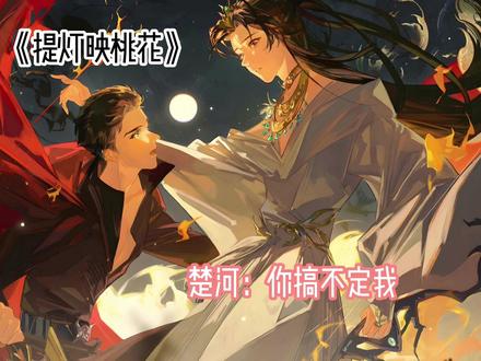 凤凰好像一脸傲娇的说:看,我男人搞得,厉害吧!
#提灯映桃花 #淮上 #周晖 #楚河 #双男主