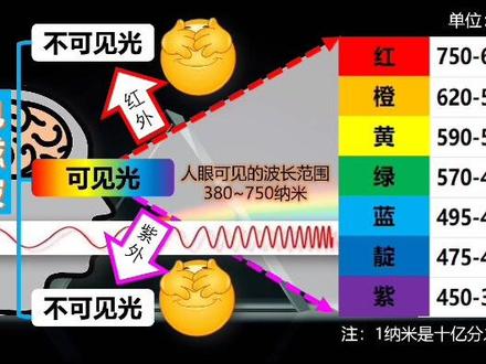 可见光与不可见光;电磁波,电、磁、光是同一种东西#科普 #涨知识 #孩子教育