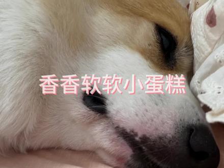 火锅宝宝想爸爸 想的流口水