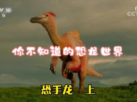 恐龙世界也有四不像,你知道吗?#恐龙世界 #纪录片 #CCTV #中视频计划 #二次原创 @抖音创作者中心