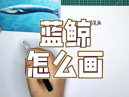一起画头蓝鲸吧! #鲸鱼 #海洋动物 #蓝鲸 #蓝鲸简笔画 #简笔画