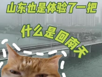 感觉山东人要进化出鳃了 #山东 #下雨 #回南天#万万想不到#娱乐评论大赏