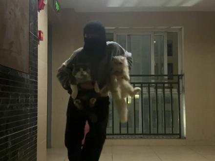 笑纳了…….#白菜对我笑舞蹈挑战 #丝滑 #舞蹈 #人类迷惑行为