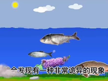 毒鱼.六种天然植物