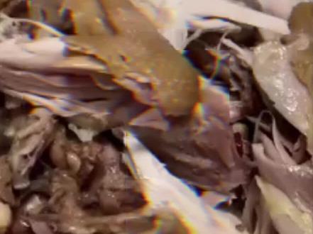 鬼畜单曲《说妹说都是零卡》 #妹说就是零卡 #万物皆可鬼畜 #贝贝 #李京泽