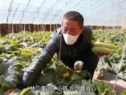 有声小说山野桃运傻医第八章:出海捕鱼 #人物故事 #振兴乡村 #个人成长