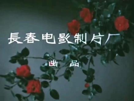 老电影《五朵金花》全剧