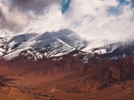 那段故事需要有人一直在讲述 #生命树 #杨紫 #胡歌 #白菊 #多杰